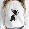 Love NOPE Boston Terrier Dog Lover Women Crewneck Sweatshirt, funny design