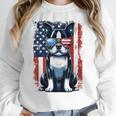 Vintage Boston Terrier Dog American US USA Flag Pets Dogs Women Crewneck Sweatshirt, American Boston Terrier Gifts, funny design