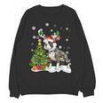Boston Terrier Christmas Tree Lights Santa Hat Women Crewneck Sweatshirt, novelty gifts, funny gifts