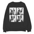 Boston Terrier Dogs With Sunglasses Photo Pets Meme Women Crewneck Sweatshirt, novelty gifts, funny gifts