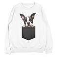 Boston Terrier Dog Puppy Dog In Pocket Cute Pet Lover Women Crewneck Sweatshirt, novelty gifts, funny gifts