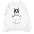 Boston Terrier In The Pocket Cute Boston Terrier Dog Lovers Men Women Girls Kids Women Crewneck Sweatshirt, novelty gifts, funny gifts
