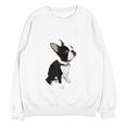 Love NOPE Boston Terrier Dog Lover Women Crewneck Sweatshirt, novelty gifts, funny gifts