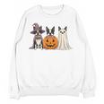 Spooky Ghost Boston Terrier Pumpkin Halloween Dog Lover Women Crewneck Sweatshirt, novelty gifts, funny gifts
