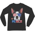 Boston Terrier Merica 4th Of July T Shirt Men Boys Dog Puppy Unisex Long Sleeve T-Shirt, trending gift
