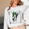 Cool Saint Patrick's Boston Terrier T Shirt For Dogs Lovers Unisex Long Sleeve T-Shirt, funny design