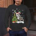 Boston Terrier Christmas Tree Lights Santa Hat Men's Long Sleeve T-Shirt, funny design