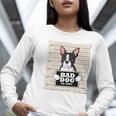 Boston Terrier Mug Shot Guilty Dog Women Long Sleeve T-Shirt, funny gift