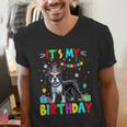 My Birthday Colorful Costume Boston Terrier Party Men's V-Neck T-Shirt, funny gift