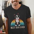 Boston Terrier Boston-Bulldog For Men Women Girls Kids Men's V-Neck T-Shirt, funny gift