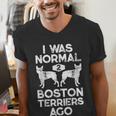 I Was Normal 2 Boston Terriers Ago Dog Lover For Men Women Girls Kids Men's V-Neck T-Shirt, funny gift