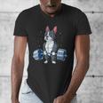 Boston Terrier Weightlifting Deadlift Men Fitness Gym Men's V-Neck T-Shirt, Boston Terrier Gym Gifts, funny design