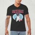 Boston Terrier Grandma Bostie Dog Owner Boston Terrier Men Women Men's V-Neck T-Shirt, novelty gifts, funny gifts