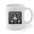 Boston Terrier Mug Shot Guilty Dog Graphic Print Coffee Mug, trending gift