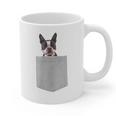 Dog In Your Pocket Boston Terrier For Men Women Girls Kids Graphic Print Coffee Mug, trending gift
