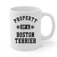 Property Of Boston Terrier Boston Terrier Shirt Graphic Print Coffee Mug, trending gift