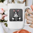 Boston Terrier Mug Shot Guilty Dog Graphic Print Coffee Mug, funny design
