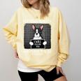 Boston Terrier Mug Shot Guilty Dog Comfort Colors Sweatshirt Butter