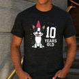 10 Years Old Birthday Boston Terrier Dog Lover 10th Party For Men Women Kids Men's Casual T-Shirt Dark Grey