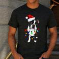 Boston Terrier Santa Christmas Lights Xmas Dog Lover Men Women Kids Men's Casual T-Shirt Dark Grey