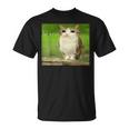 猫 フクロウ 面白い 呪われた Hello Bro Brainrot Meowl Hiro Meme Tシャツ