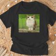 猫 フクロウ 面白い 呪われた Hello Bro Brainrot Meowl Hiro Meme Tシャツ 高齢者への贈り物