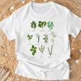 ヴィンテージボタニカルハーブ ハーブコレクション ハーバリスト Tシャツ 高齢者への贈り物